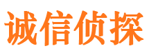 廛河侦探公司